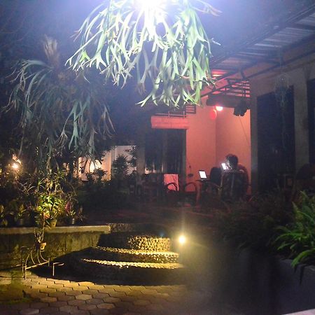 בניוואנגי Banyu Homestay מראה חיצוני תמונה