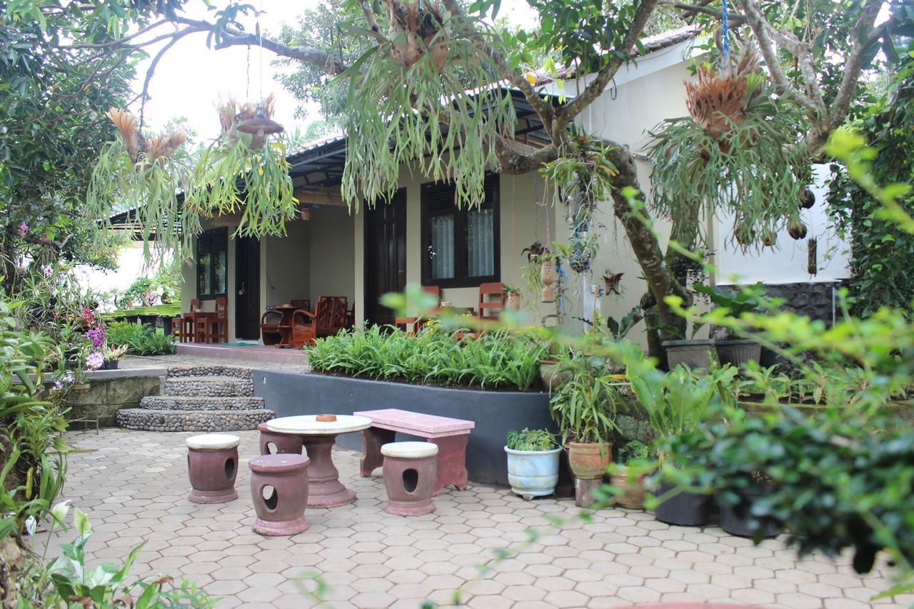 בניוואנגי Banyu Homestay מראה חיצוני תמונה