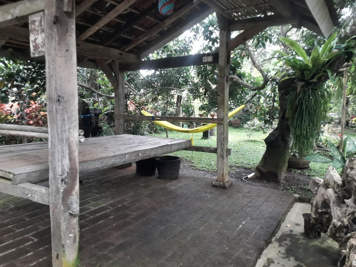 בניוואנגי Banyu Homestay מראה חיצוני תמונה