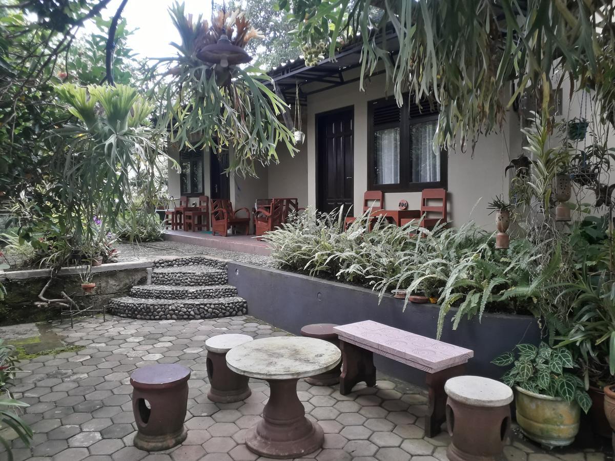 בניוואנגי Banyu Homestay מראה חיצוני תמונה