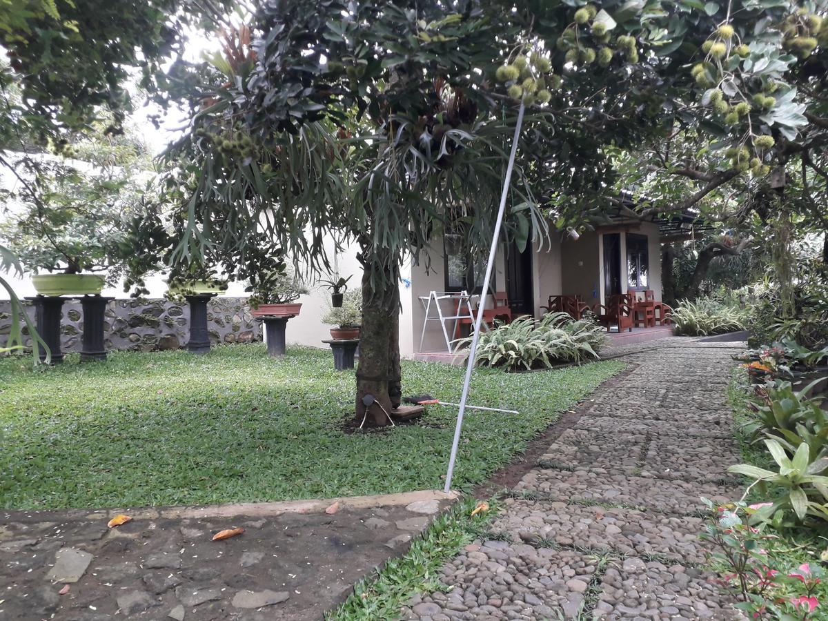 בניוואנגי Banyu Homestay מראה חיצוני תמונה
