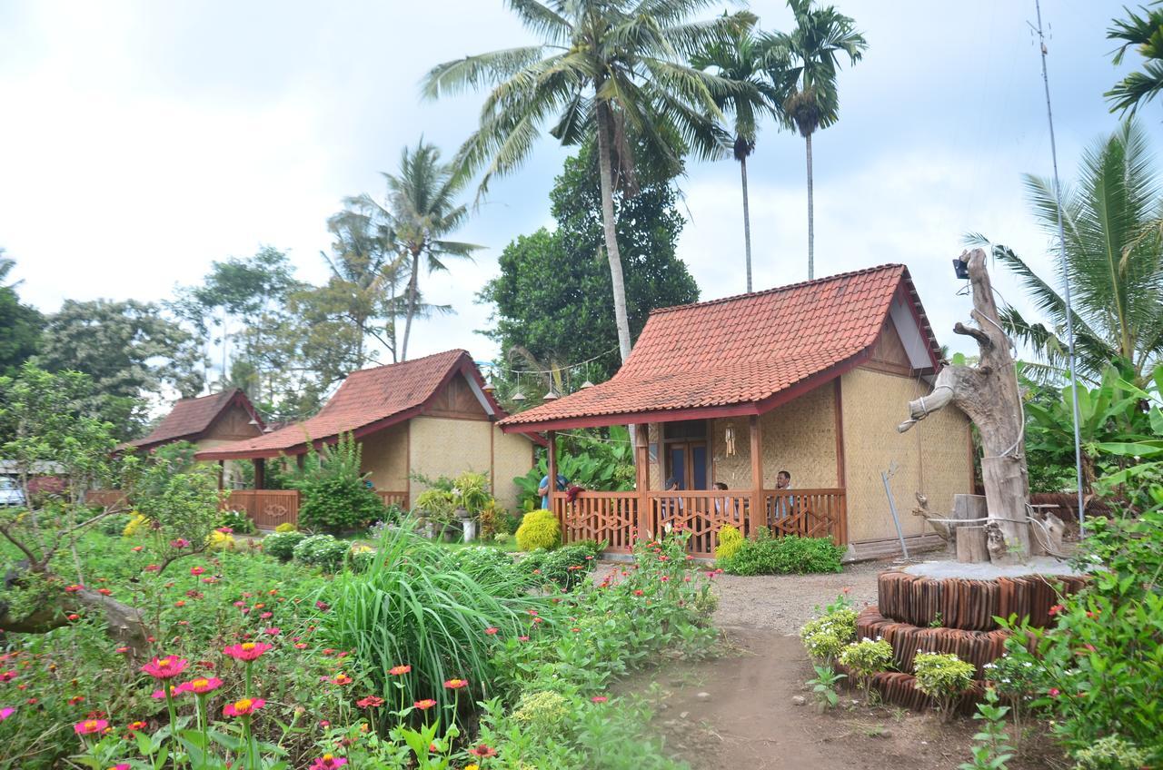 בניוואנגי Banyu Homestay מראה חיצוני תמונה