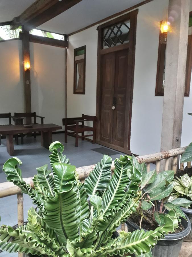 בניוואנגי Banyu Homestay מראה חיצוני תמונה