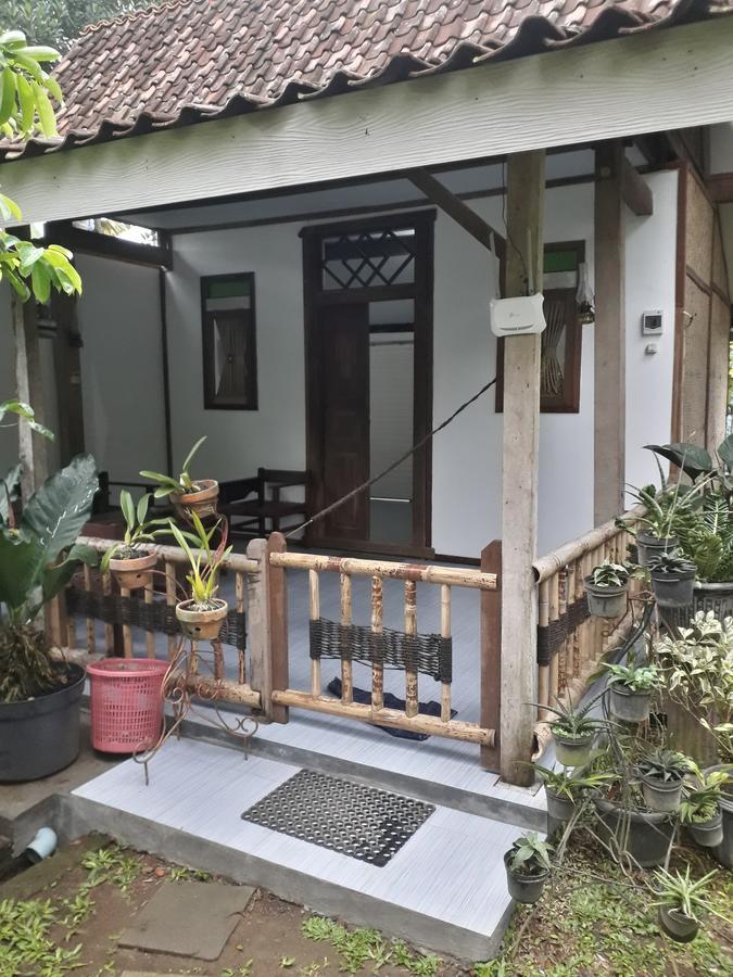 בניוואנגי Banyu Homestay מראה חיצוני תמונה