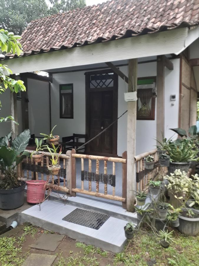 בניוואנגי Banyu Homestay מראה חיצוני תמונה